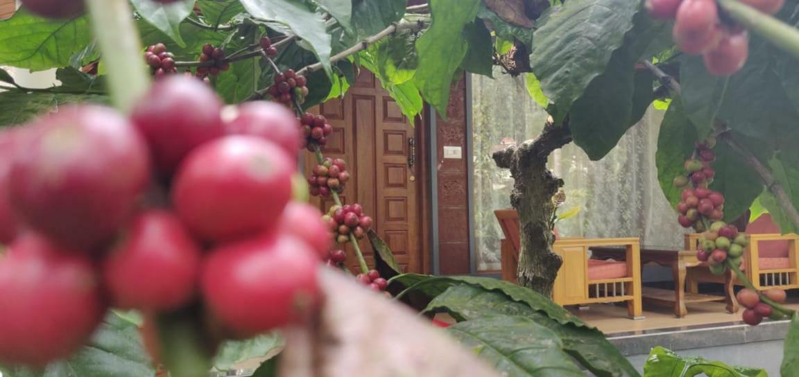 Rai Cottage @ Coorg ,Suntikoppa Екстер'єр фото