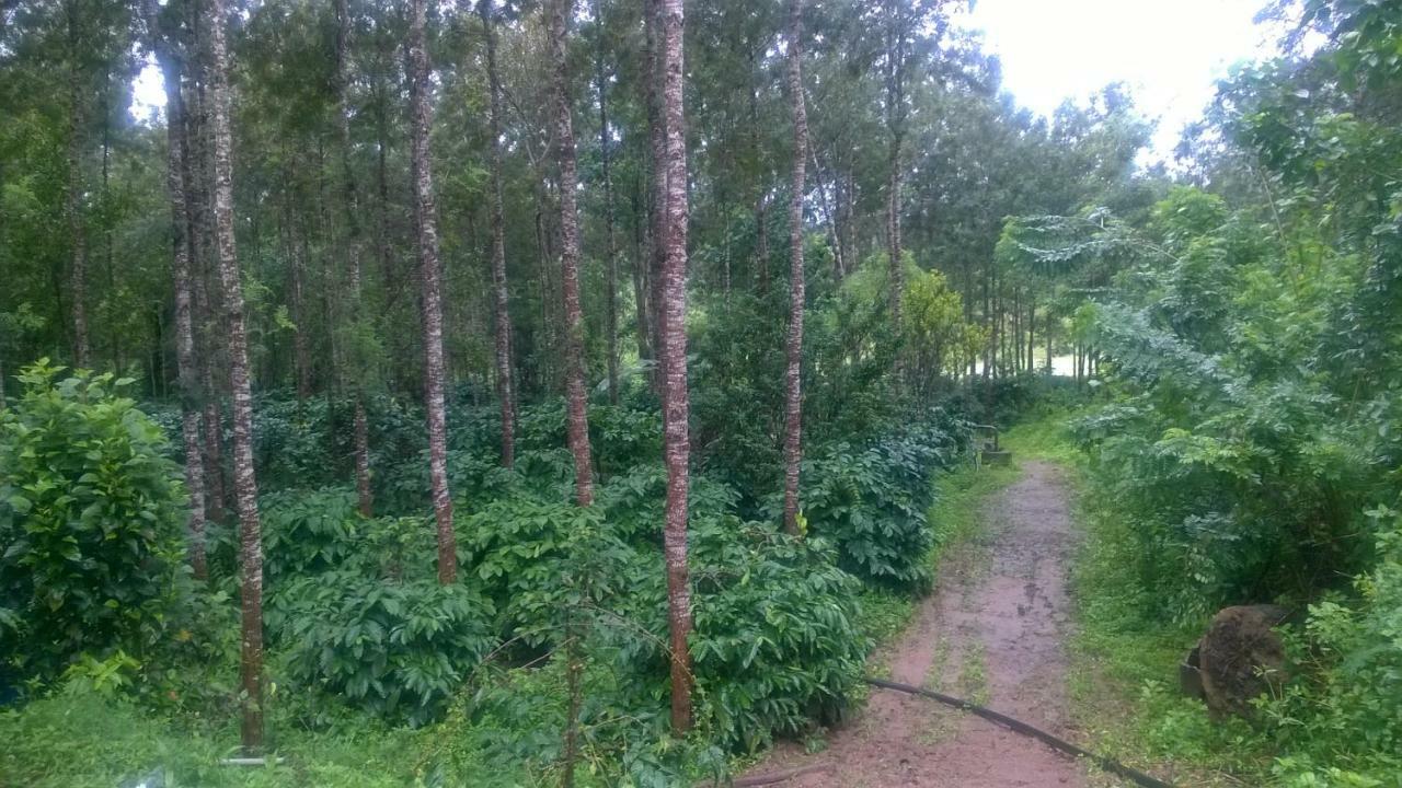 Rai Cottage @ Coorg ,Suntikoppa Екстер'єр фото